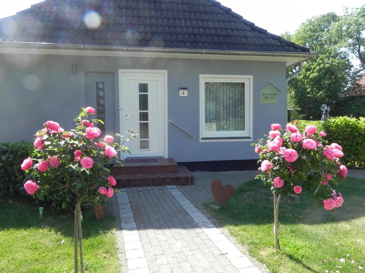 Ferienhaus "Ole Au", Ferienwohnung, Monteure, Unterkunft, Office Oldershausen Exterior photo